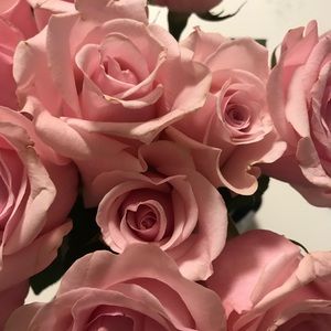 Meet your Posher, Alexis